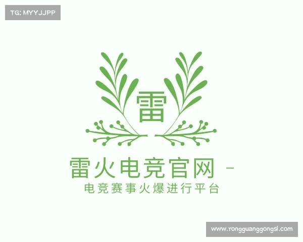 介绍雷火电竞官网 - 电竞赛事火爆进行平台